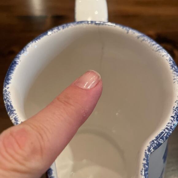 ⭐️ Pier 1 Imports Glass Kitchen Pitcher Sponge Print Rim White Blue Apples - Picture 12 of 12